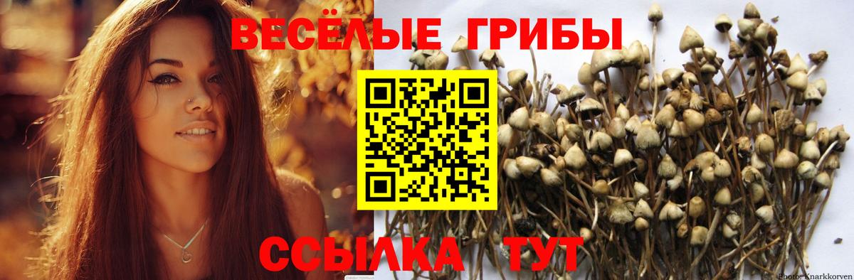 Псилоцибиновые грибы прущие грибы Карпинск